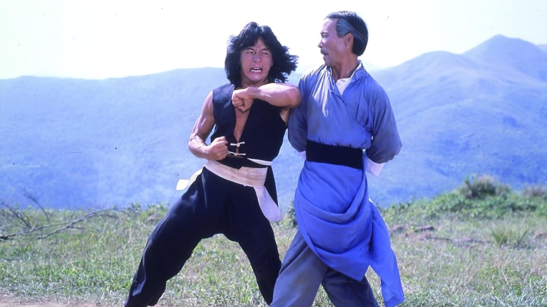 Молодой мастер / Shi di chu maa / The Young Master (1980): кадр из фильма