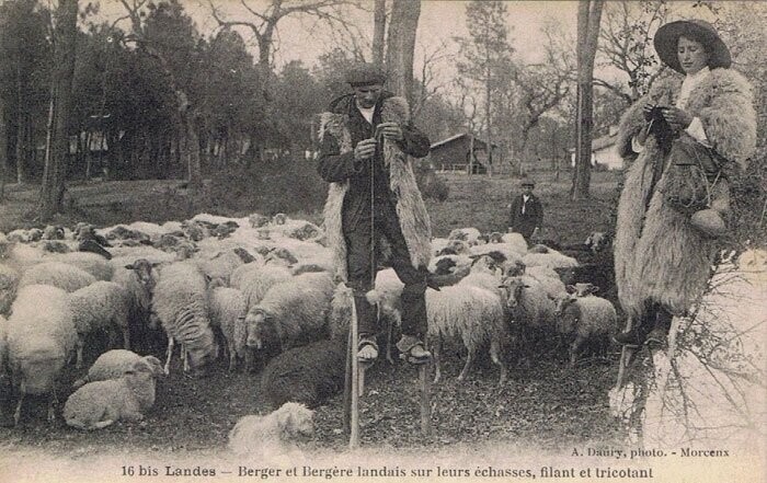 Зачем французские пастухи до XX века ходили на ходулях (4 фото)