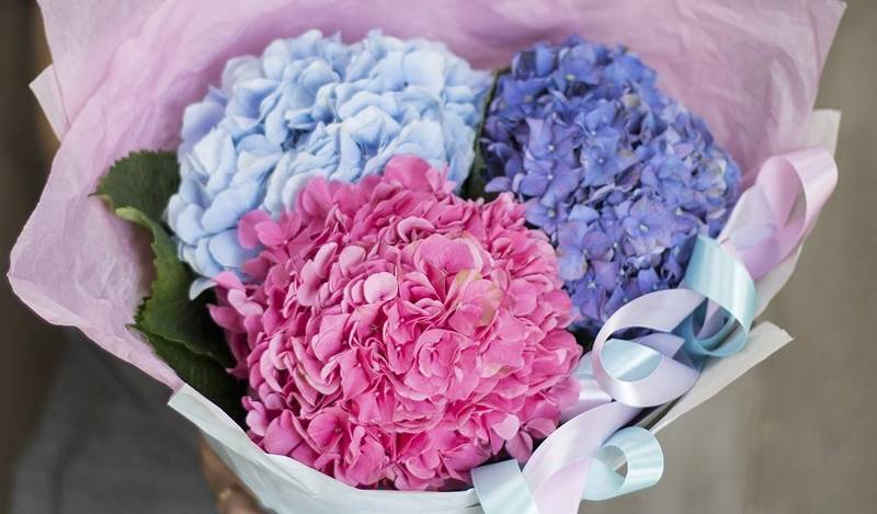 10 самых красивых букетов цветов (10 фото)3