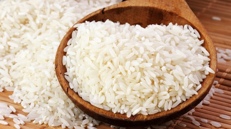 Интересные факты о рисе1