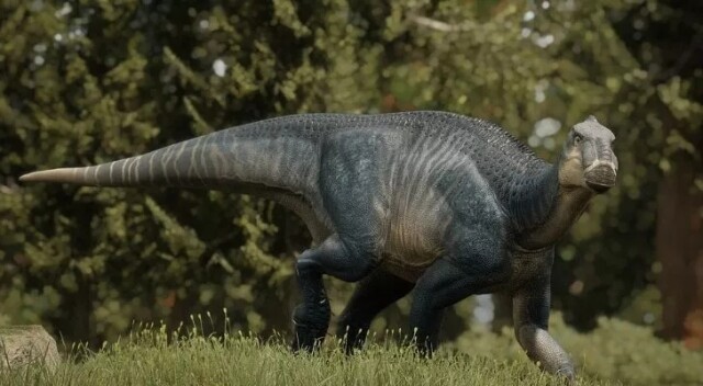 Интересные факты про динозавров, которые вас поразят (15 фото)7
