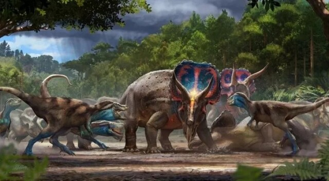 Интересные факты про динозавров, которые вас поразят (15 фото)12