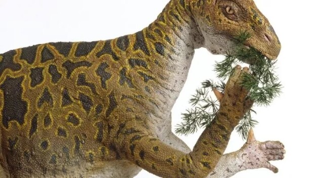 Интересные факты про динозавров, которые вас поразят (15 фото)9