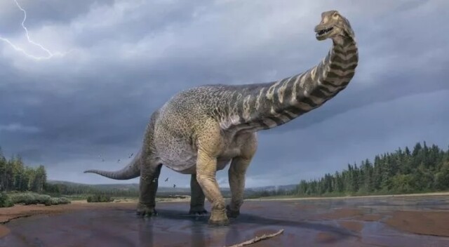Интересные факты про динозавров, которые вас поразят (15 фото)13