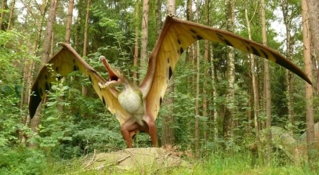 Интересные факты про динозавров, которые вас поразят (15 фото)4