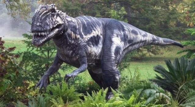 Интересные факты про динозавров, которые вас поразят (15 фото)10