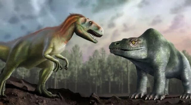 Интересные факты про динозавров, которые вас поразят (15 фото)6