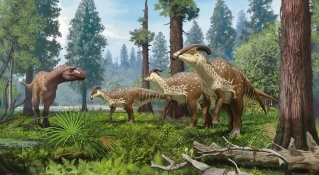 Интересные факты про динозавров, которые вас поразят (15 фото)2