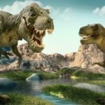 Интересные факты про динозавров, которые вас поразят (15 фото)