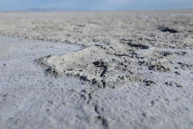 Знаменитое Большое Соленое озеро в США медленно умирает. Почему оно убивает все вокруг?4