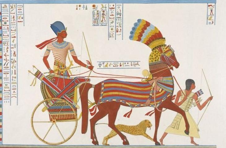 10 фактов о древнеегипетских животных, которые приведут вас в недоумение6