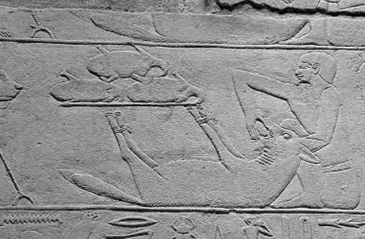 10 фактов о древнеегипетских животных, которые приведут вас в недоумение1