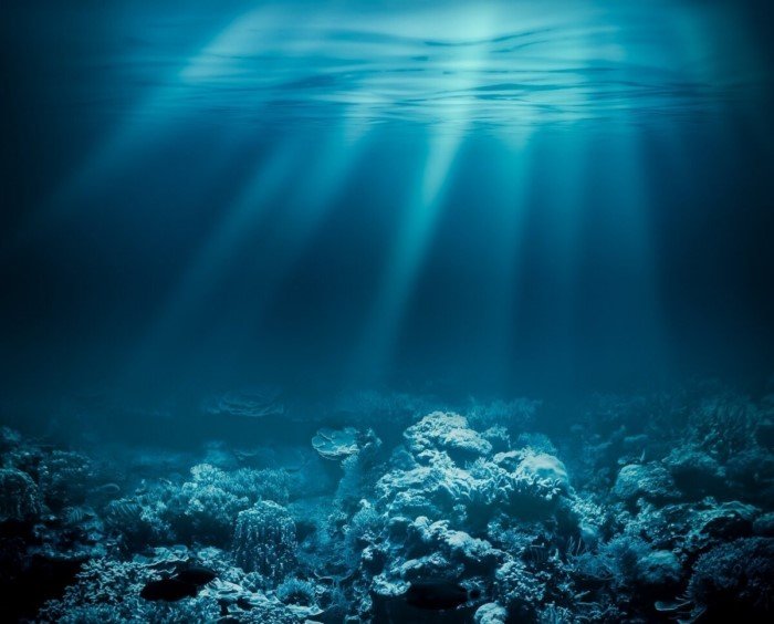 Почему в океанах столько соли, если в них впадают пресные реки2