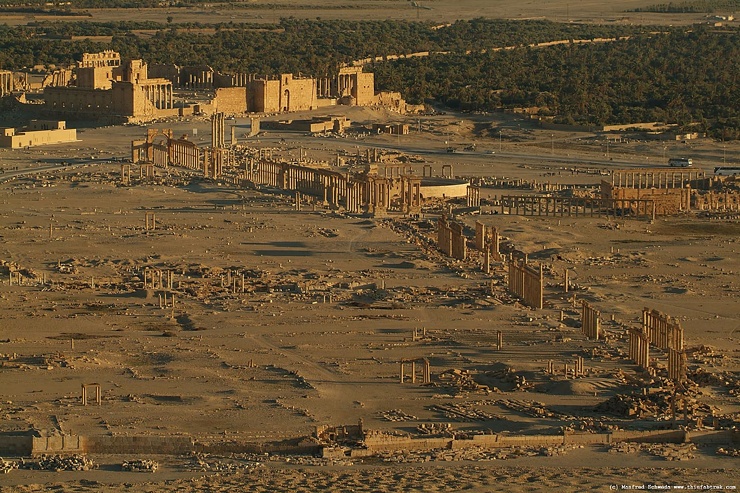Какой была древняя Пальмира14