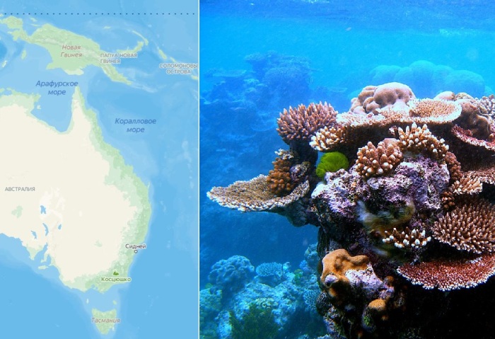Где находятся 5 самых глубоких морей на Земле, и Почему именно там такая чудовищная глубина7