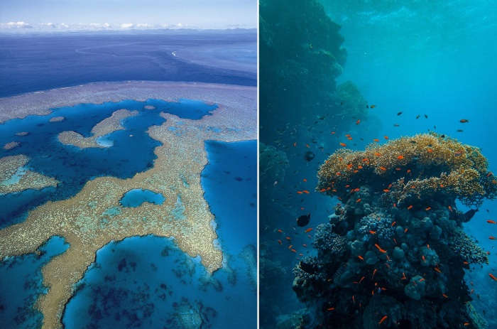 Где находятся 5 самых глубоких морей на Земле, и Почему именно там такая чудовищная глубина8