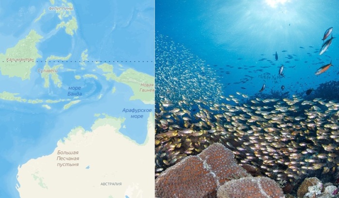 Где находятся 5 самых глубоких морей на Земле, и Почему именно там такая чудовищная глубина2