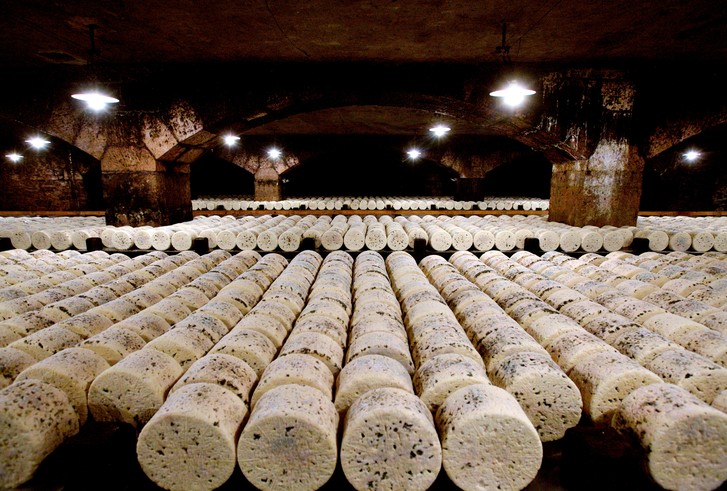 География сыра: где и как делают 15 сортов самого популярного молочного продукта6