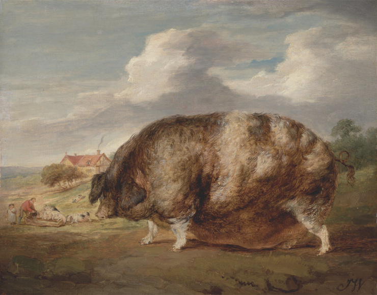 Почему в XIX веке фермеры заказывали парадные портреты своих толстых коров, свиней и овец (8 фото)5