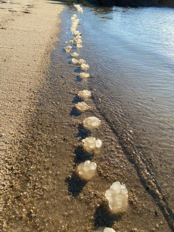 17 интригующих штуковин, которые были случайно обнаружены людьми на различных пляжах7